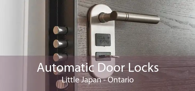 Automatic Door Locks Little Japan - Ontario