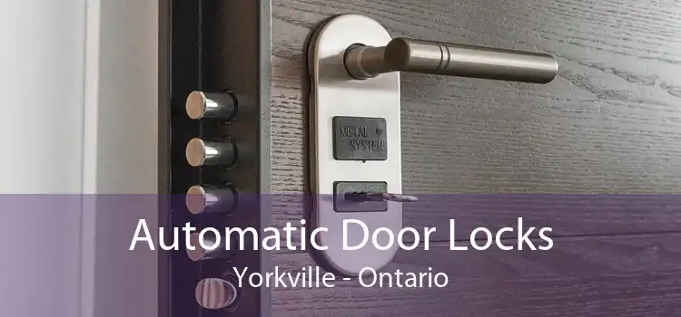 Automatic Door Locks Yorkville - Ontario