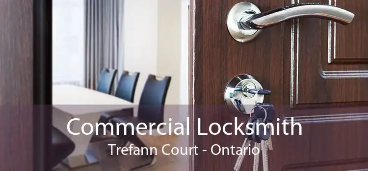 Commercial Locksmith Trefann Court - Ontario