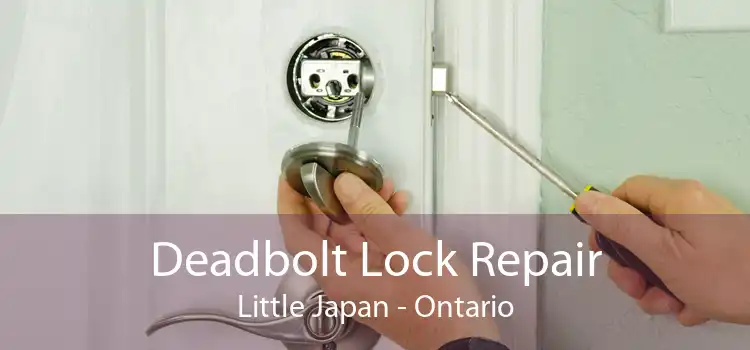 Deadbolt Lock Repair Little Japan - Ontario