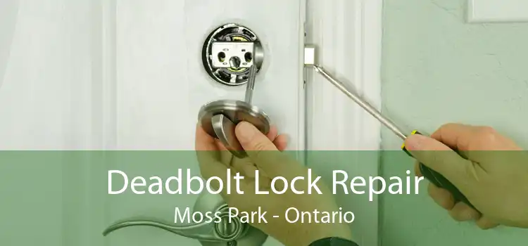 Deadbolt Lock Repair Moss Park - Ontario