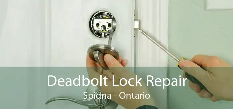 Deadbolt Lock Repair Spidna - Ontario
