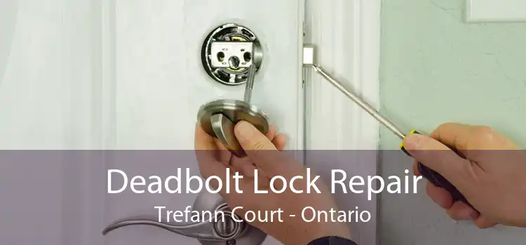 Deadbolt Lock Repair Trefann Court - Ontario