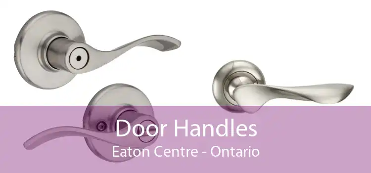 Door Handles Eaton Centre - Ontario