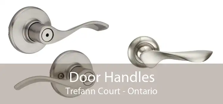 Door Handles Trefann Court - Ontario