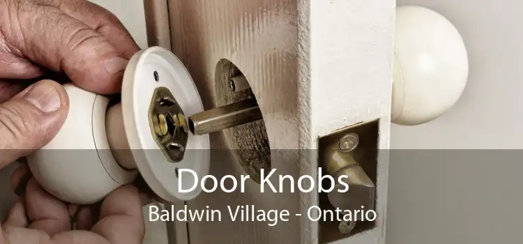Door Knobs Baldwin Village - Ontario