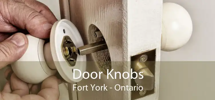 Door Knobs Fort York - Ontario