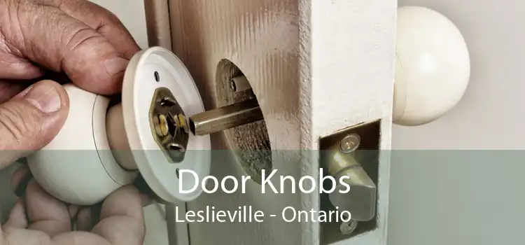 Door Knobs Leslieville - Ontario