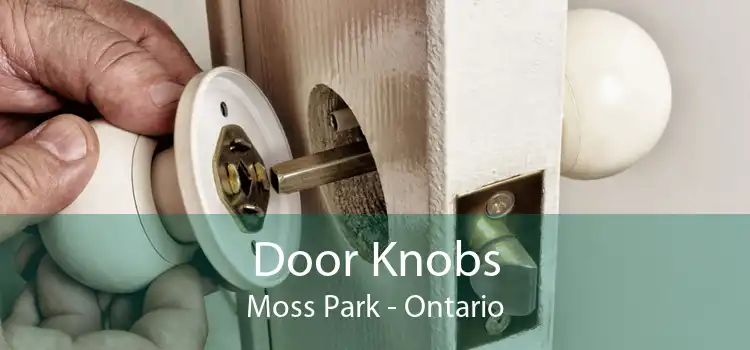Door Knobs Moss Park - Ontario
