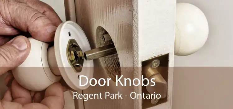 Door Knobs Regent Park - Ontario