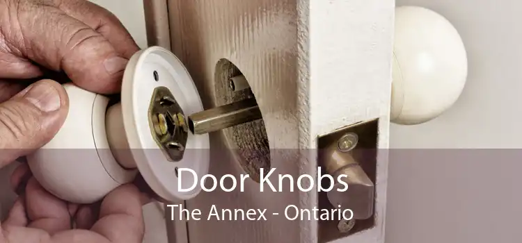 Door Knobs The Annex - Ontario