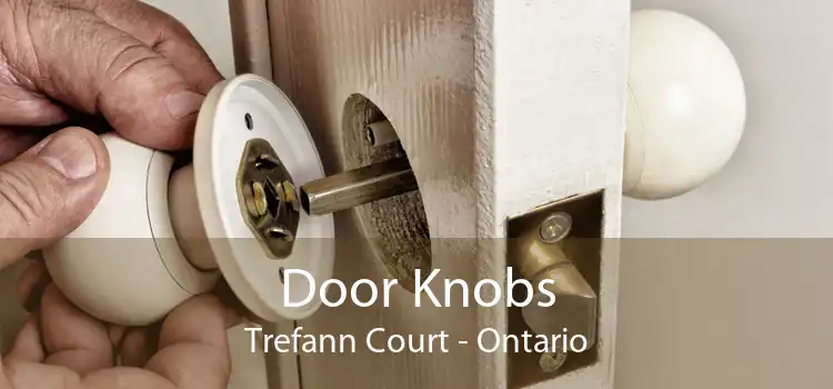 Door Knobs Trefann Court - Ontario