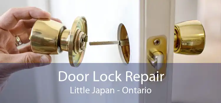 Door Lock Repair Little Japan - Ontario