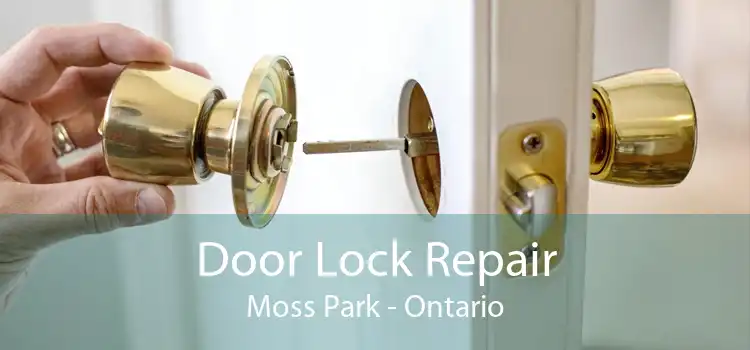 Door Lock Repair Moss Park - Ontario
