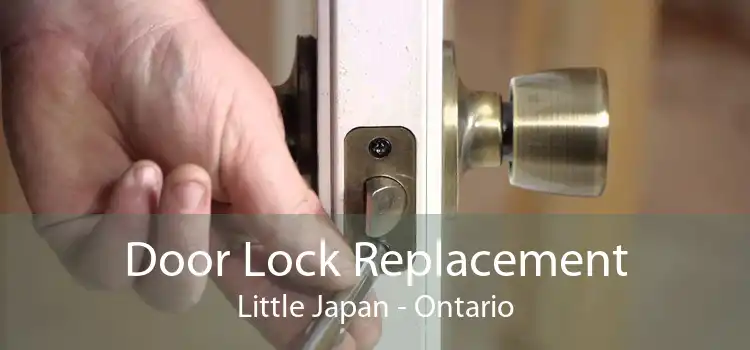Door Lock Replacement Little Japan - Ontario