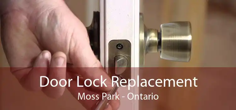 Door Lock Replacement Moss Park - Ontario