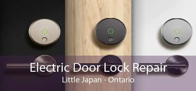 Electric Door Lock Repair Little Japan - Ontario