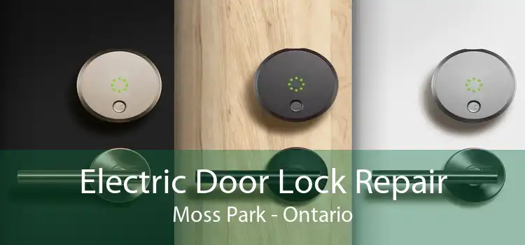 Electric Door Lock Repair Moss Park - Ontario