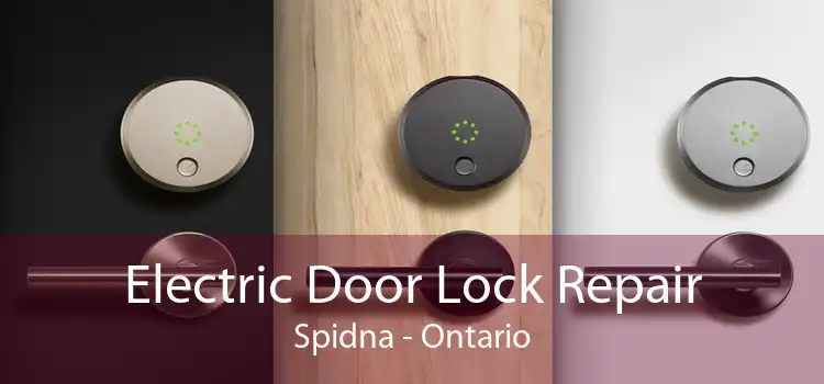 Electric Door Lock Repair Spidna - Ontario