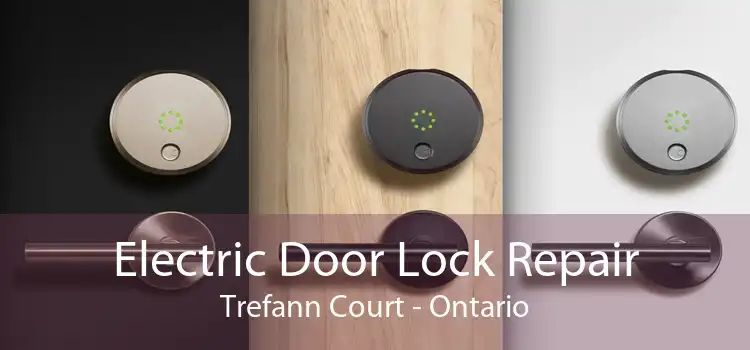 Electric Door Lock Repair Trefann Court - Ontario