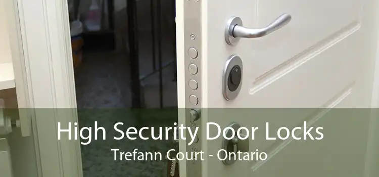 High Security Door Locks Trefann Court - Ontario