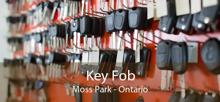 Key Fob Moss Park - Ontario