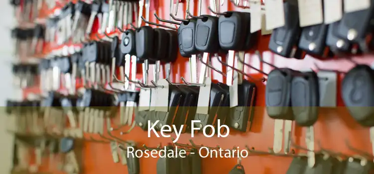 Key Fob Rosedale - Ontario
