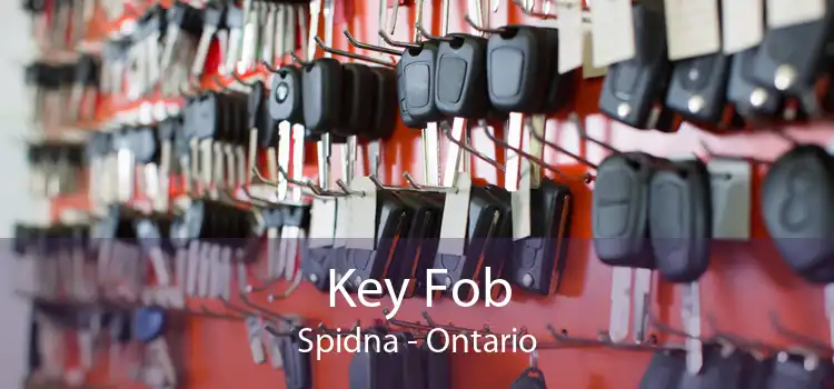 Key Fob Spidna - Ontario