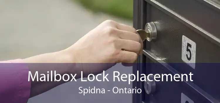 Mailbox Lock Replacement Spidna - Ontario