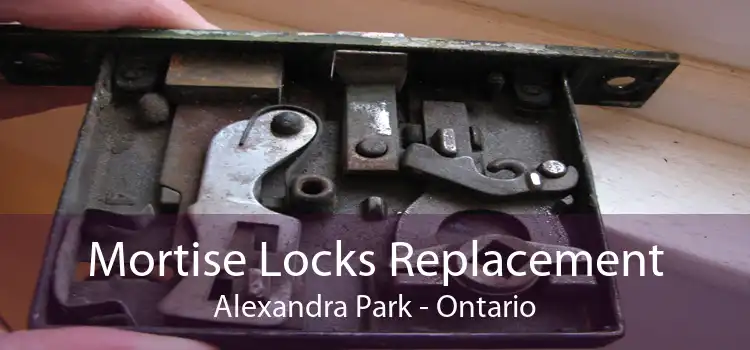Mortise Locks Replacement Alexandra Park - Ontario