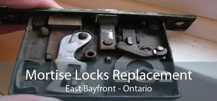 Mortise Locks Replacement East Bayfront - Ontario
