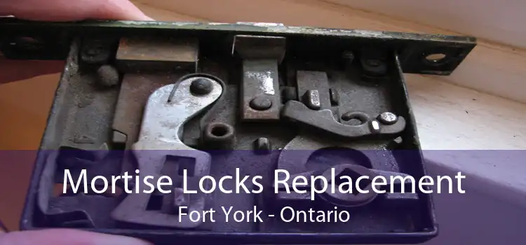 Mortise Locks Replacement Fort York - Ontario