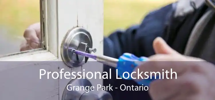 Professional Locksmith Grange Park - Ontario