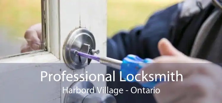 Professional Locksmith Harbord Village - Ontario