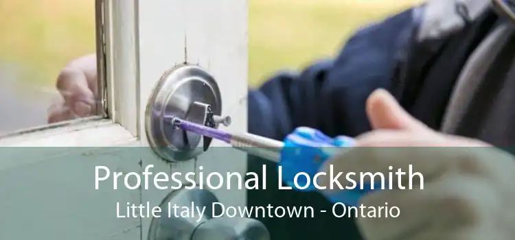 Professional Locksmith Little Italy Downtown - Ontario