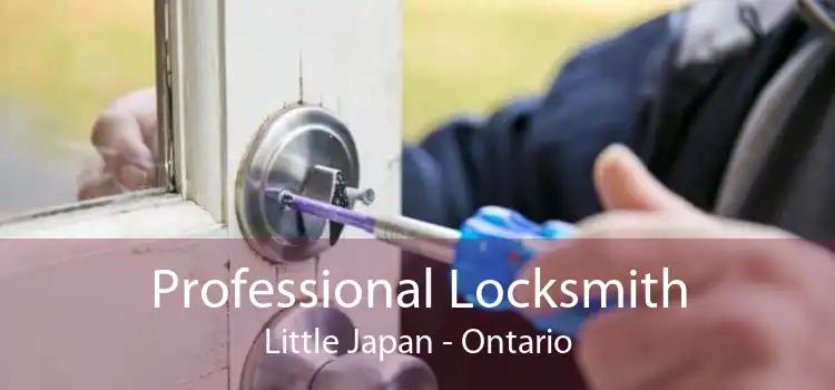 Professional Locksmith Little Japan - Ontario