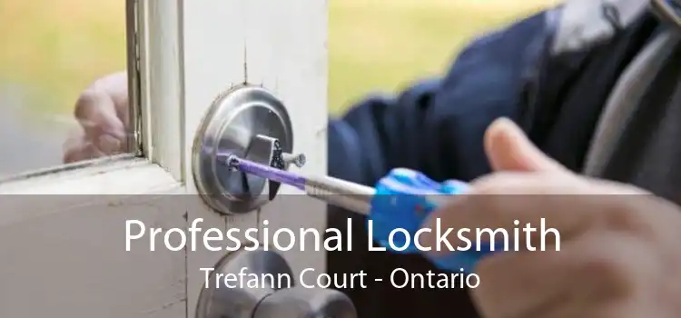 Professional Locksmith Trefann Court - Ontario