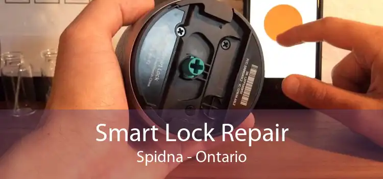 Smart Lock Repair Spidna - Ontario
