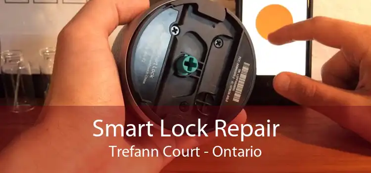 Smart Lock Repair Trefann Court - Ontario